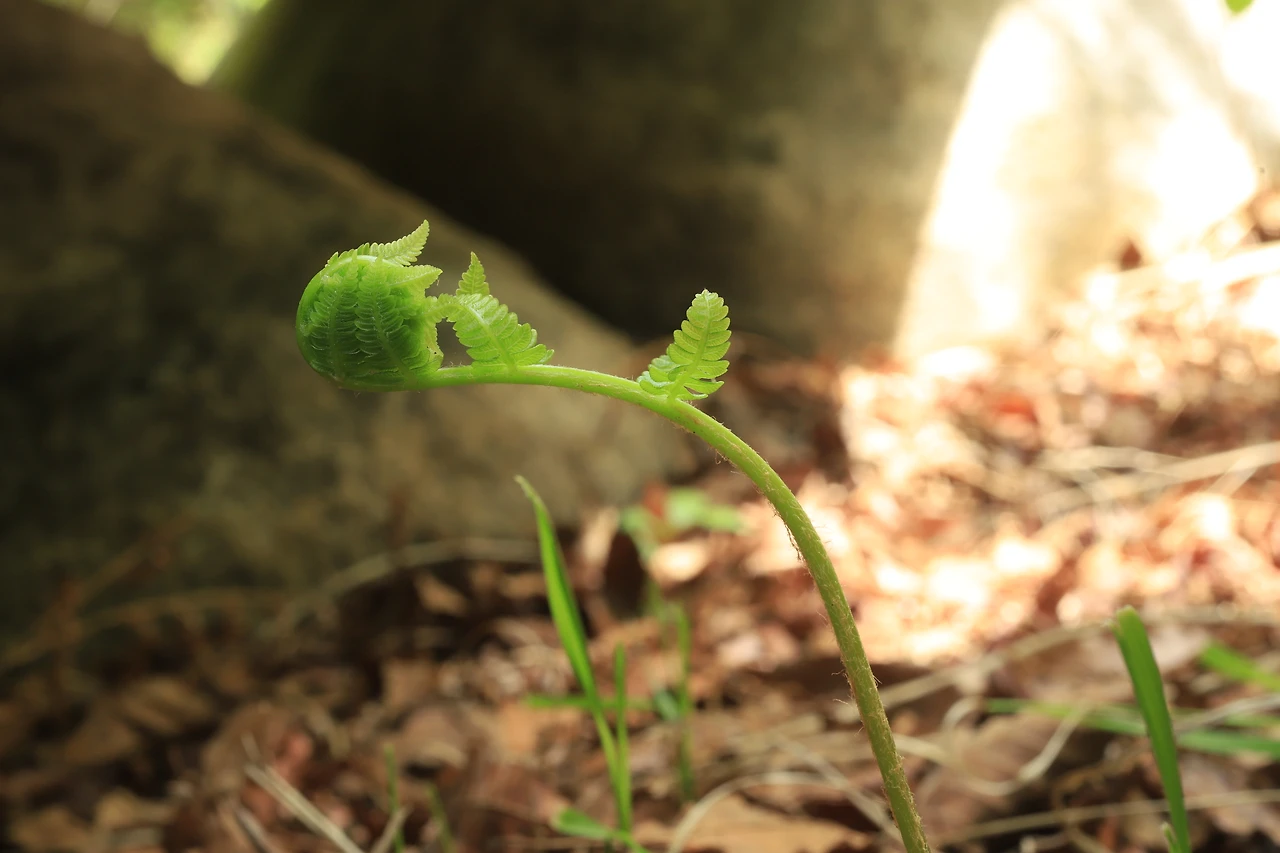 img.jpg?credential=yqXZFxpELC7KVnFOS48ylbz2pIh7yKj8&expires=1774969199&allow_ip=&allow_referer=&signature=DhVVeyQYUEbIERRuG3Do0o36FtE%3D