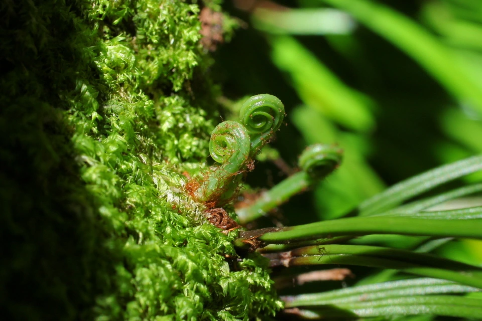 img.jpg?credential=yqXZFxpELC7KVnFOS48ylbz2pIh7yKj8&expires=1774969199&allow_ip=&allow_referer=&signature=VRcSlpLu4NYinaKKEGGS9yGh0ZI%3D