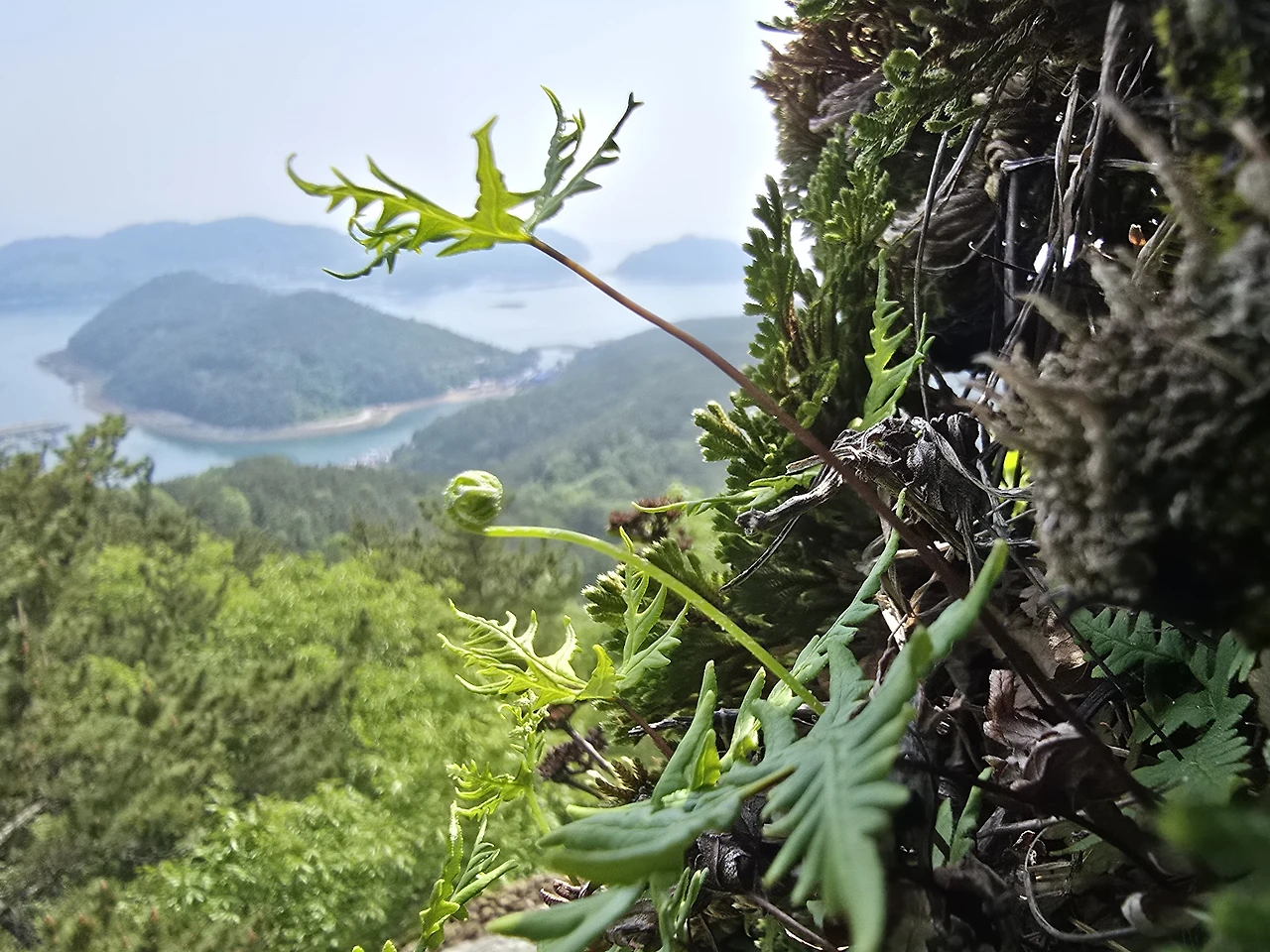 img.jpg?credential=yqXZFxpELC7KVnFOS48ylbz2pIh7yKj8&expires=1774969199&allow_ip=&allow_referer=&signature=zWYS9XCg1iZCwcVzxcVsieh4Z4w%3D