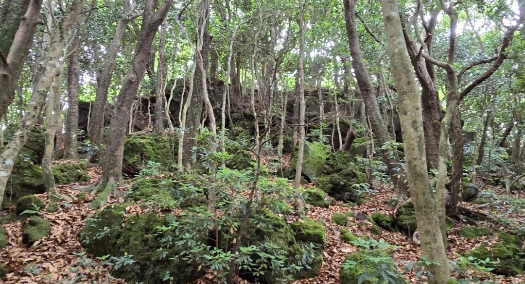 img.jpg?credential=yqXZFxpELC7KVnFOS48ylbz2pIh7yKj8&expires=1772290799&allow_ip=&allow_referer=&signature=sYaHfukHD2KweYQcLRYKk2%2Bnox8%3D