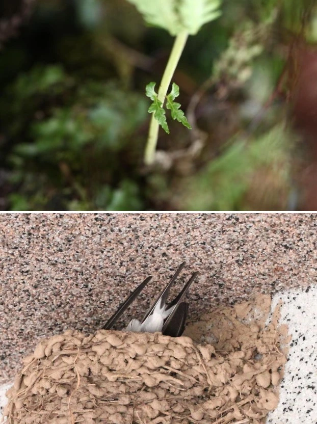 img.jpg?credential=yqXZFxpELC7KVnFOS48ylbz2pIh7yKj8&expires=1769871599&allow_ip=&allow_referer=&signature=u97BSAzoK7HWIfFPfn5ZBNEGfIc%3D