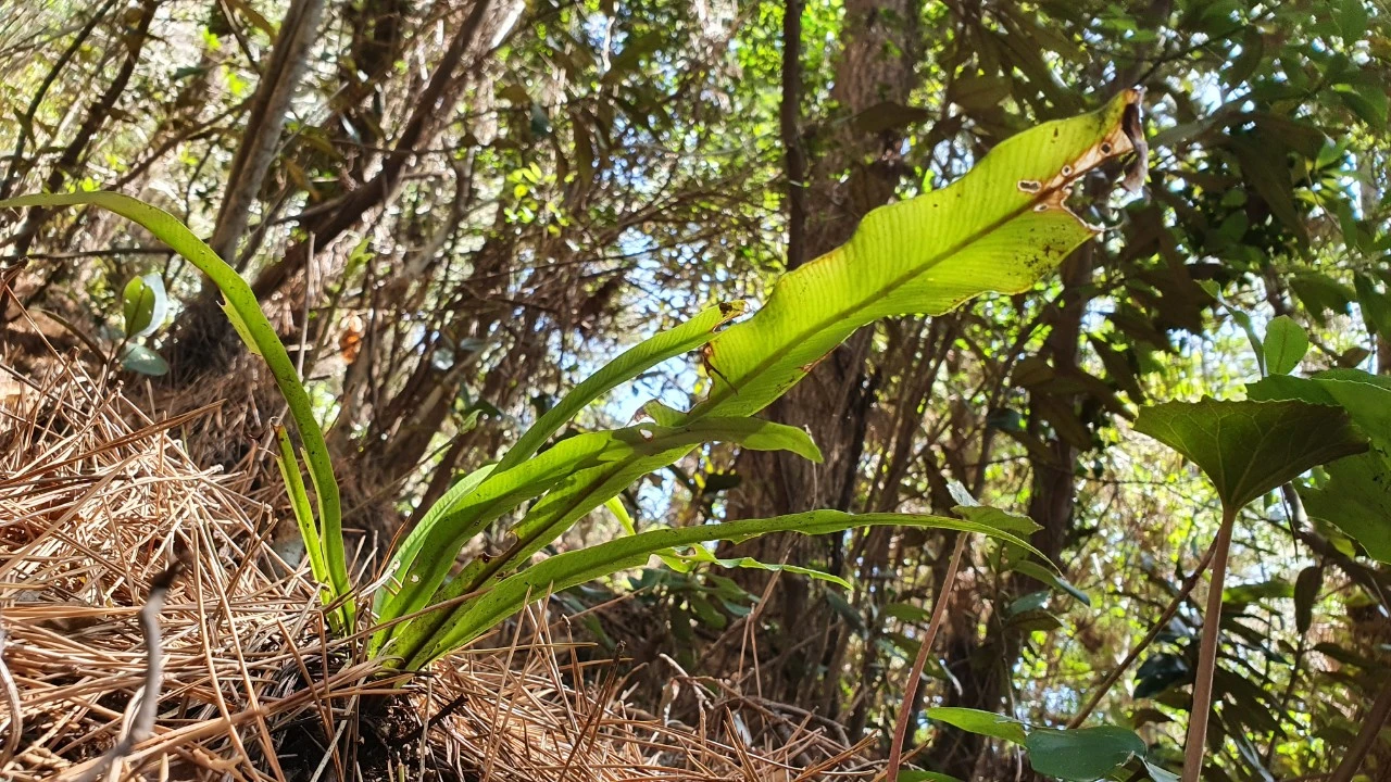 img.jpg?credential=yqXZFxpELC7KVnFOS48ylbz2pIh7yKj8&expires=1774969199&allow_ip=&allow_referer=&signature=9A1M1XfkidYORkL2cNq3QBtOzuc%3D