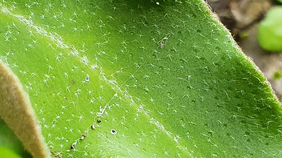 img.jpg?credential=yqXZFxpELC7KVnFOS48ylbz2pIh7yKj8&expires=1772290799&allow_ip=&allow_referer=&signature=MD%2BA%2FxDGDFneEEbVVSFVKKk13UU%3D