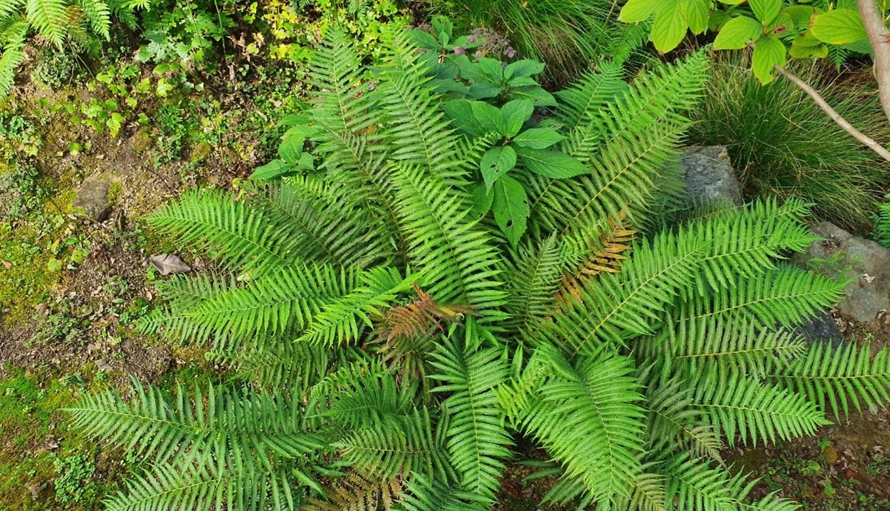 tfile.jpg?credential=yqXZFxpELC7KVnFOS48ylbz2pIh7yKj8&expires=1774969199&allow_ip=&allow_referer=&signature=Wp14NlbJ6SBplq60JAex7djiJMo%3D