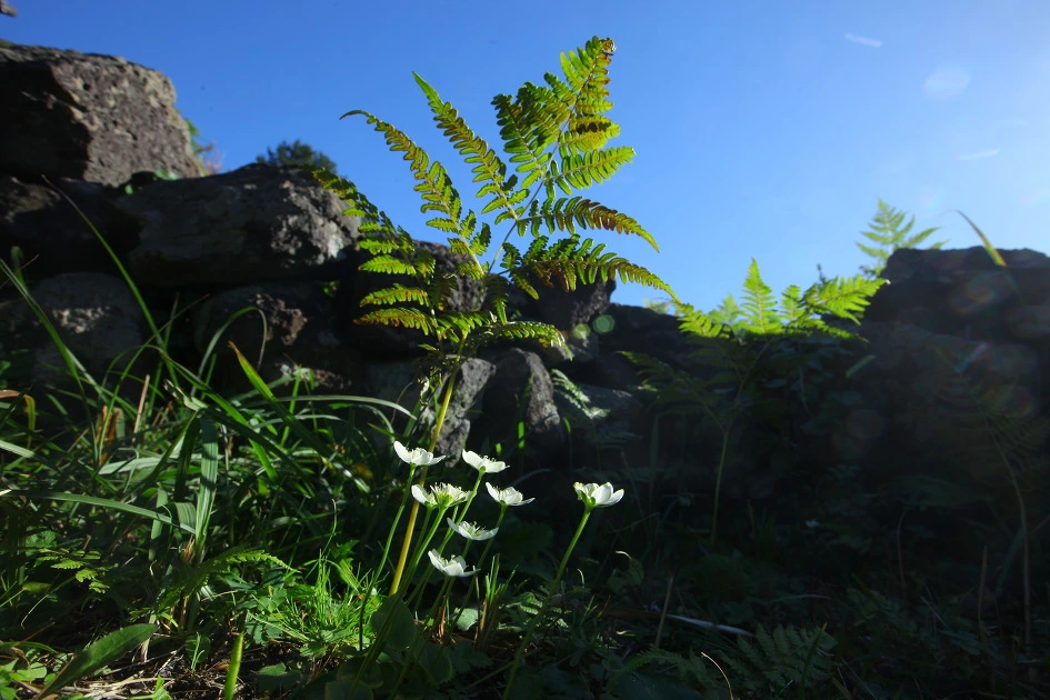 img.jpg?credential=yqXZFxpELC7KVnFOS48ylbz2pIh7yKj8&expires=1777561199&allow_ip=&allow_referer=&signature=OGzIWTJYpzahvjgWnsBxA8PqxyM%3D