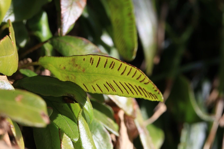 img.jpg?credential=yqXZFxpELC7KVnFOS48ylbz2pIh7yKj8&expires=1774969199&allow_ip=&allow_referer=&signature=wdkx1mFewtrIMcBXQirybldDCHc%3D