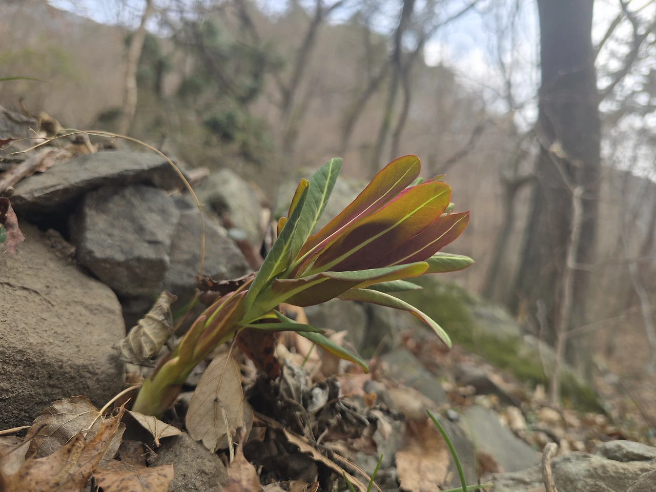 tfile.jpg?credential=yqXZFxpELC7KVnFOS48ylbz2pIh7yKj8&expires=1774969199&allow_ip=&allow_referer=&signature=Pu5UDxkKsg%2FR5BbEsE8vSmb5kOI%3D