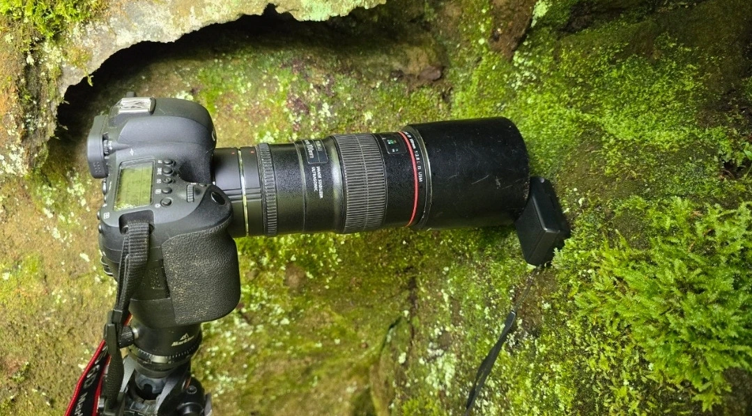 img.jpg?credential=yqXZFxpELC7KVnFOS48ylbz2pIh7yKj8&expires=1772290799&allow_ip=&allow_referer=&signature=sILal07c6mpw4JSeArzzl0RWt%2Fs%3D