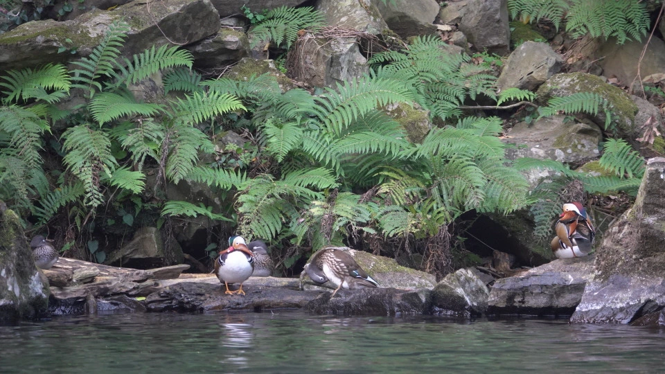 img.jpg?credential=yqXZFxpELC7KVnFOS48ylbz2pIh7yKj8&expires=1769871599&allow_ip=&allow_referer=&signature=ss4AuOV68qJcUsaJ6Cp7SS4aM8E%3D