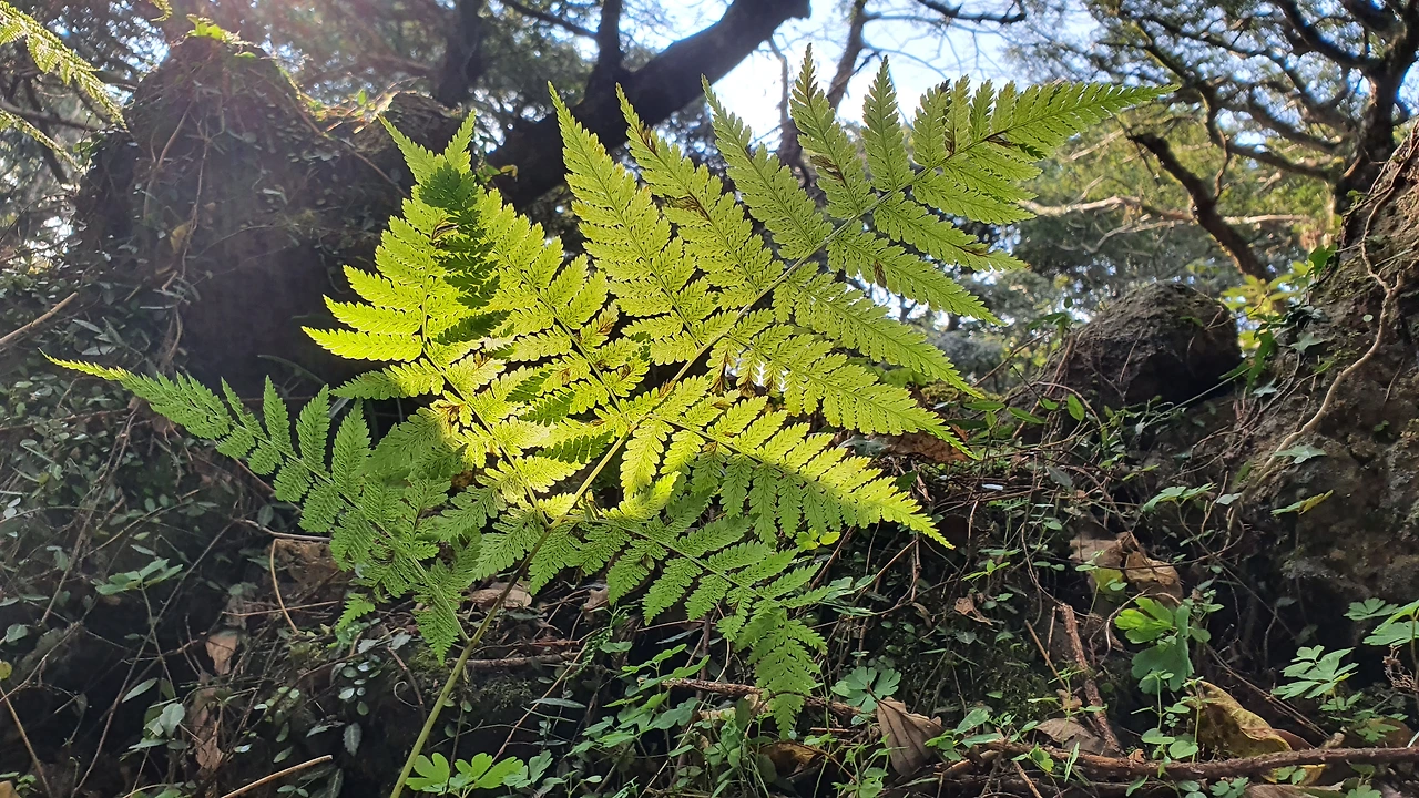 img.jpg?credential=yqXZFxpELC7KVnFOS48ylbz2pIh7yKj8&expires=1774969199&allow_ip=&allow_referer=&signature=d3KGdZYglxvUakFhvibi9xbHHgc%3D