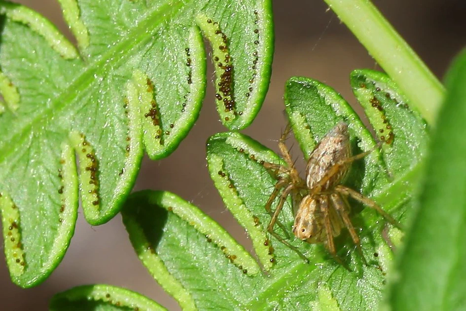 img.jpg?credential=yqXZFxpELC7KVnFOS48ylbz2pIh7yKj8&expires=1777561199&allow_ip=&allow_referer=&signature=JvduZ0pitzgjlHmr71b%2BXpNwaOs%3D