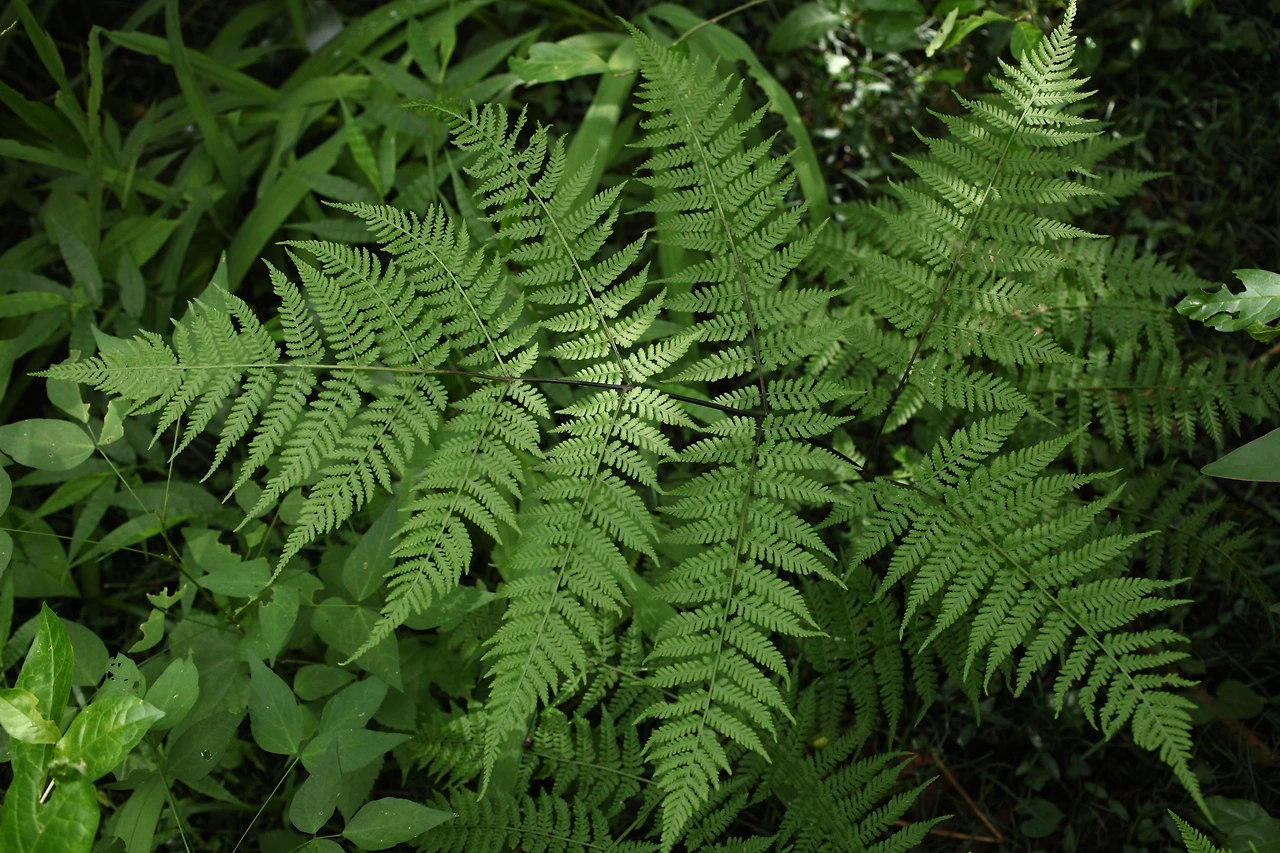 img.jpg?credential=yqXZFxpELC7KVnFOS48ylbz2pIh7yKj8&expires=1774969199&allow_ip=&allow_referer=&signature=B08ytT7DqP3jKz133UCNGaOIiQ0%3D