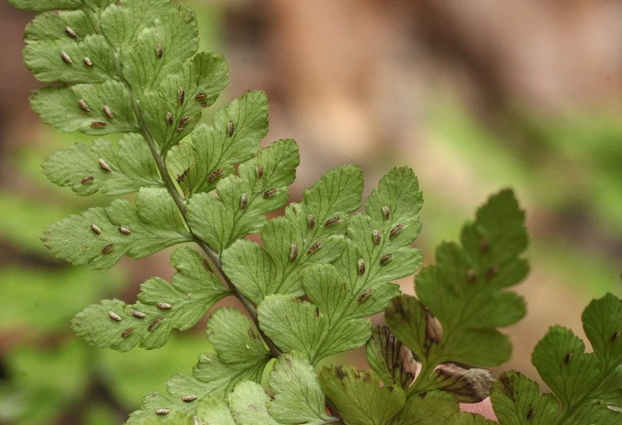 img.jpg?credential=yqXZFxpELC7KVnFOS48ylbz2pIh7yKj8&expires=1774969199&allow_ip=&allow_referer=&signature=ccbu%2Fu61mQJXPx6meTwE%2F%2BKchzY%3D