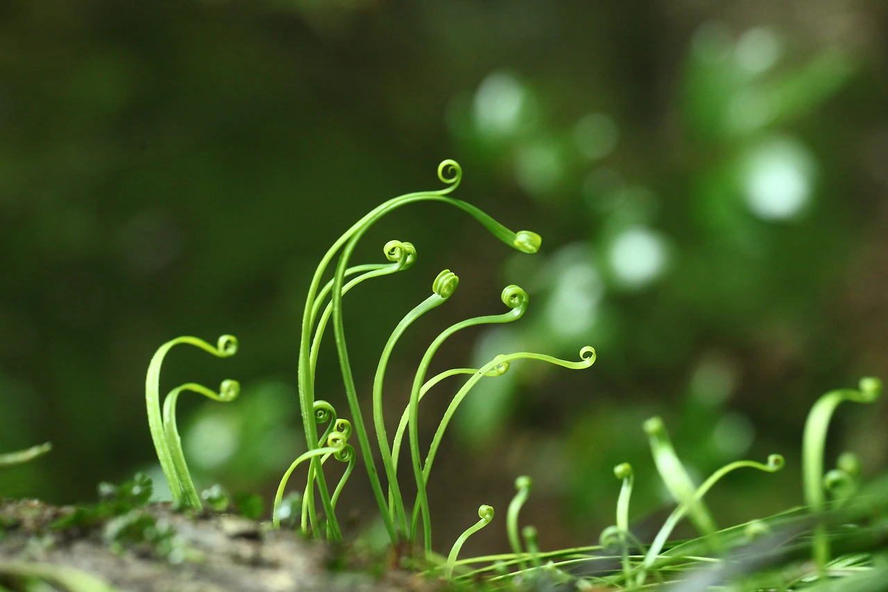 img.jpg?credential=yqXZFxpELC7KVnFOS48ylbz2pIh7yKj8&expires=1774969199&allow_ip=&allow_referer=&signature=ZKSHSETshgKrrXgkdJECr7EXVV8%3D