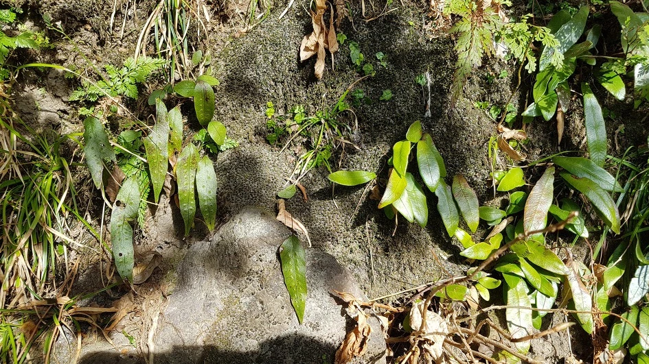 img.jpg?credential=yqXZFxpELC7KVnFOS48ylbz2pIh7yKj8&expires=1774969199&allow_ip=&allow_referer=&signature=kE3AORys0zOSTh5zyMfnFokl3oo%3D