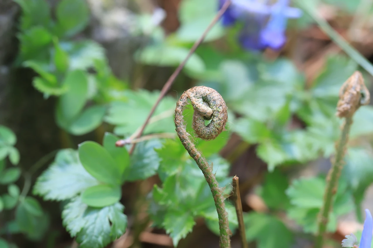 img.jpg?credential=yqXZFxpELC7KVnFOS48ylbz2pIh7yKj8&expires=1777561199&allow_ip=&allow_referer=&signature=K6KAvjeXcKLdyQFVlK1bkk37Lq8%3D