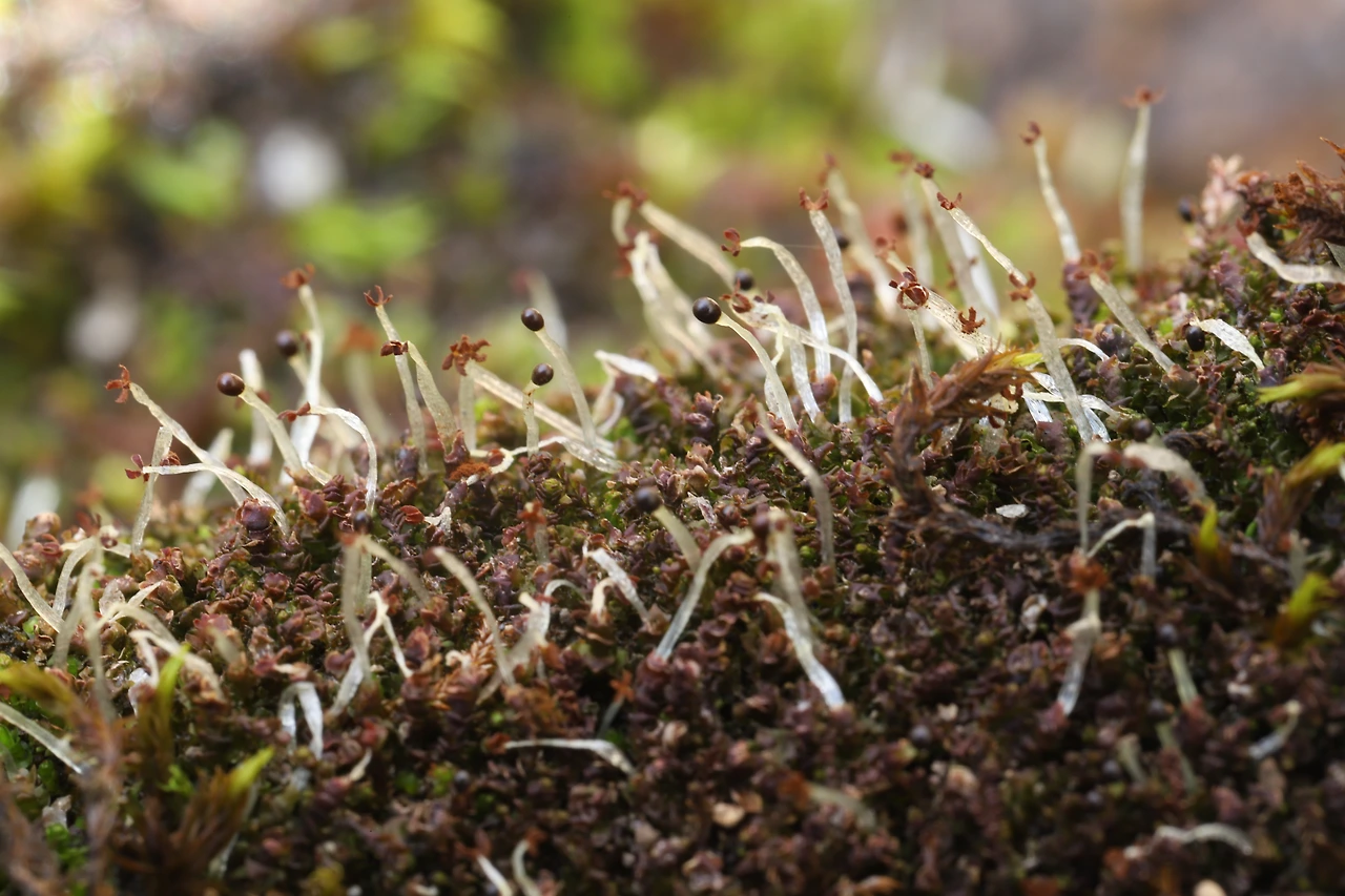 img.jpg?credential=yqXZFxpELC7KVnFOS48ylbz2pIh7yKj8&expires=1774969199&allow_ip=&allow_referer=&signature=7%2BsleKFvPbqVa8bIkZiHm8l0A18%3D