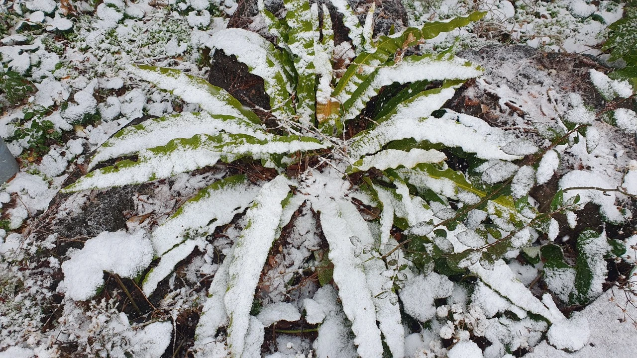 img.jpg?credential=yqXZFxpELC7KVnFOS48ylbz2pIh7yKj8&expires=1774969199&allow_ip=&allow_referer=&signature=THE%2FHo7LwKp%2Bb4TTcGVfZx0zlWc%3D