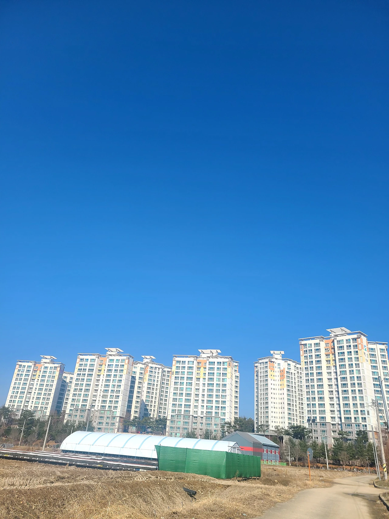 오늘 운동길 사진.heic