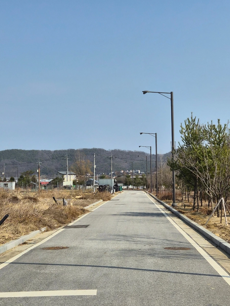 900%EF%BC%BF20260314%EF%BC%BF135245.jpg?type=w966