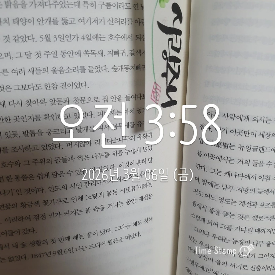 900%EF%BC%BF2026%EF%BC%8D03%EF%BC%8D06T03%EF%BC%BF58%EF%BC%BF40.116.jpg?type=w1