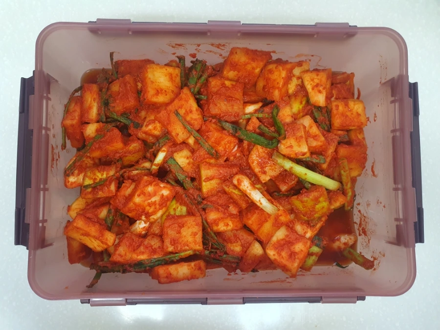 900%EF%BC%BF20260125%EF%BC%BF124120.jpg?type=w1