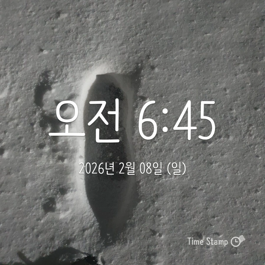 900%EF%BC%BF2026%EF%BC%8D02%EF%BC%8D08T06%EF%BC%BF45%EF%BC%BF01.616.jpg?type=w1