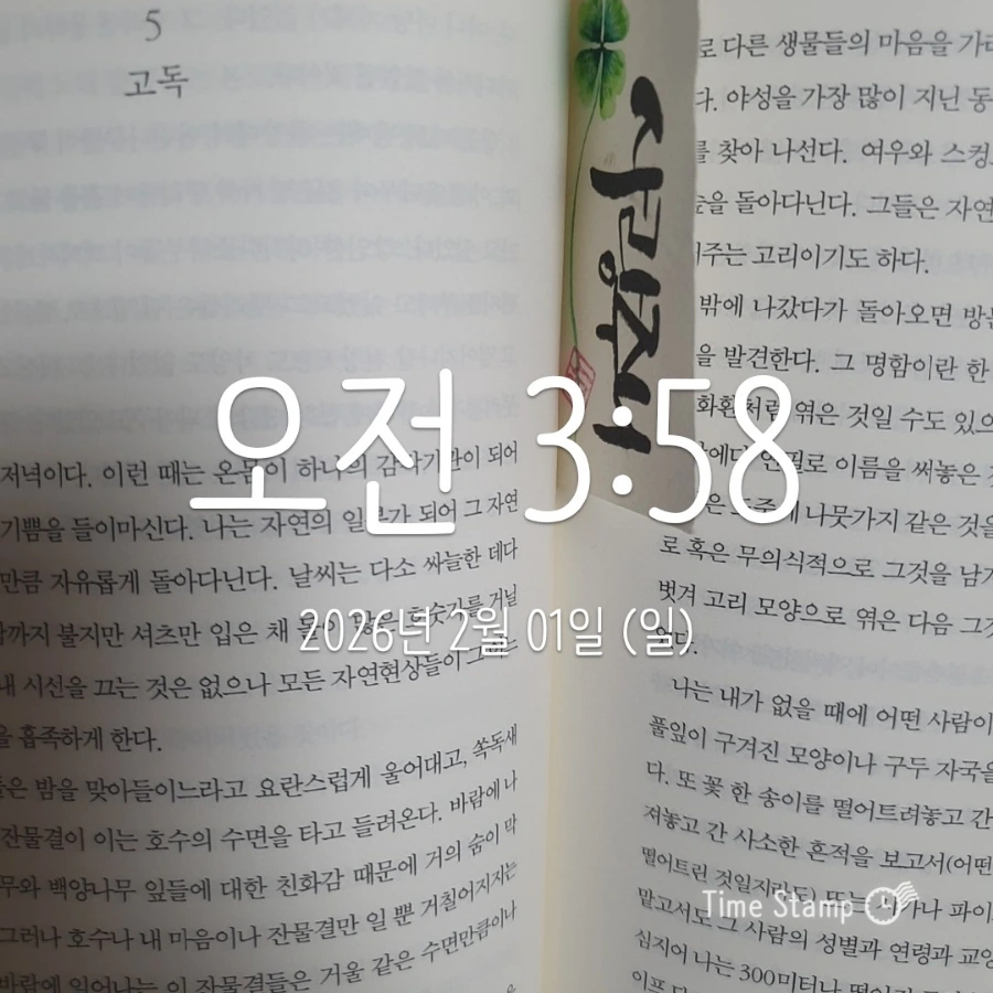 900%EF%BC%BF2026%EF%BC%8D02%EF%BC%8D01T03%EF%BC%BF58%EF%BC%BF30.731.jpg?type=w1