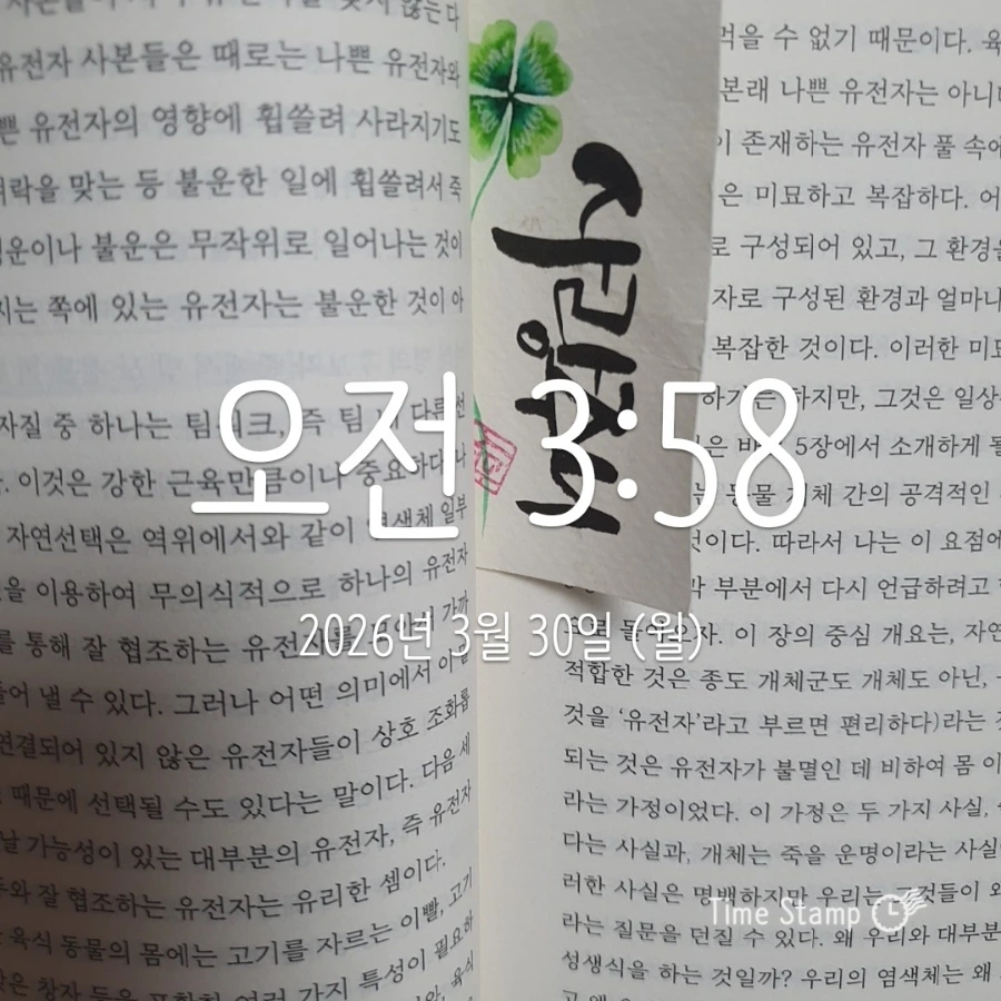 900%EF%BC%BF2026%EF%BC%8D03%EF%BC%8D30T03%EF%BC%BF58%EF%BC%BF48.076.jpg?type=w1