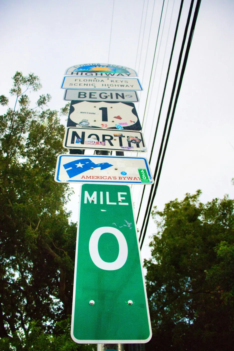 paws_and_prints-SZFp0Jnge2c-unsplash.jpg?type=w1