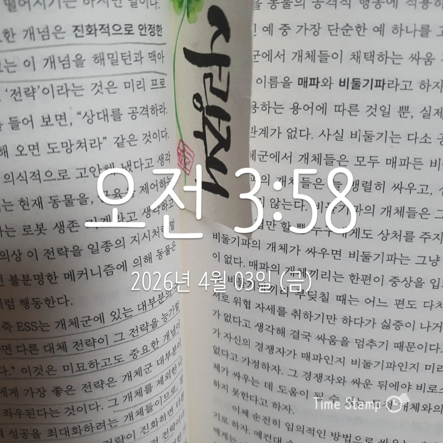 900%EF%BC%BF2026%EF%BC%8D04%EF%BC%8D03T03%EF%BC%BF58%EF%BC%BF34.230.jpg?type=w1