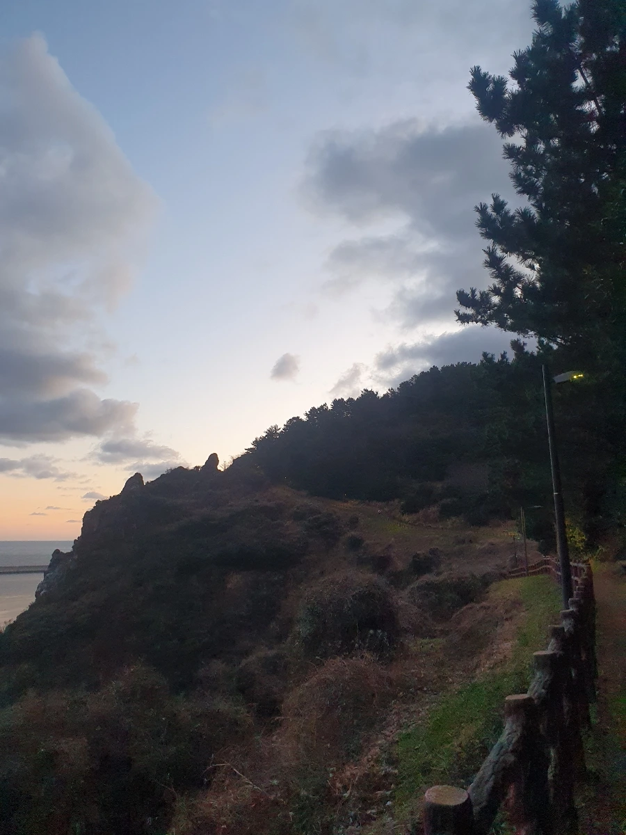 900%EF%BC%BF20260219%EF%BC%BF070748.jpg?type=w1