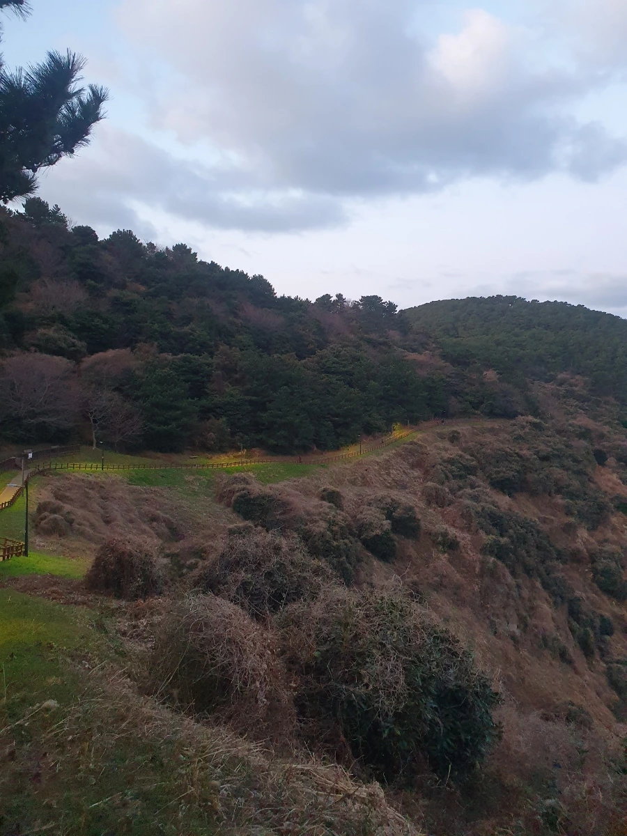 900%EF%BC%BF20260219%EF%BC%BF070406.jpg?type=w1