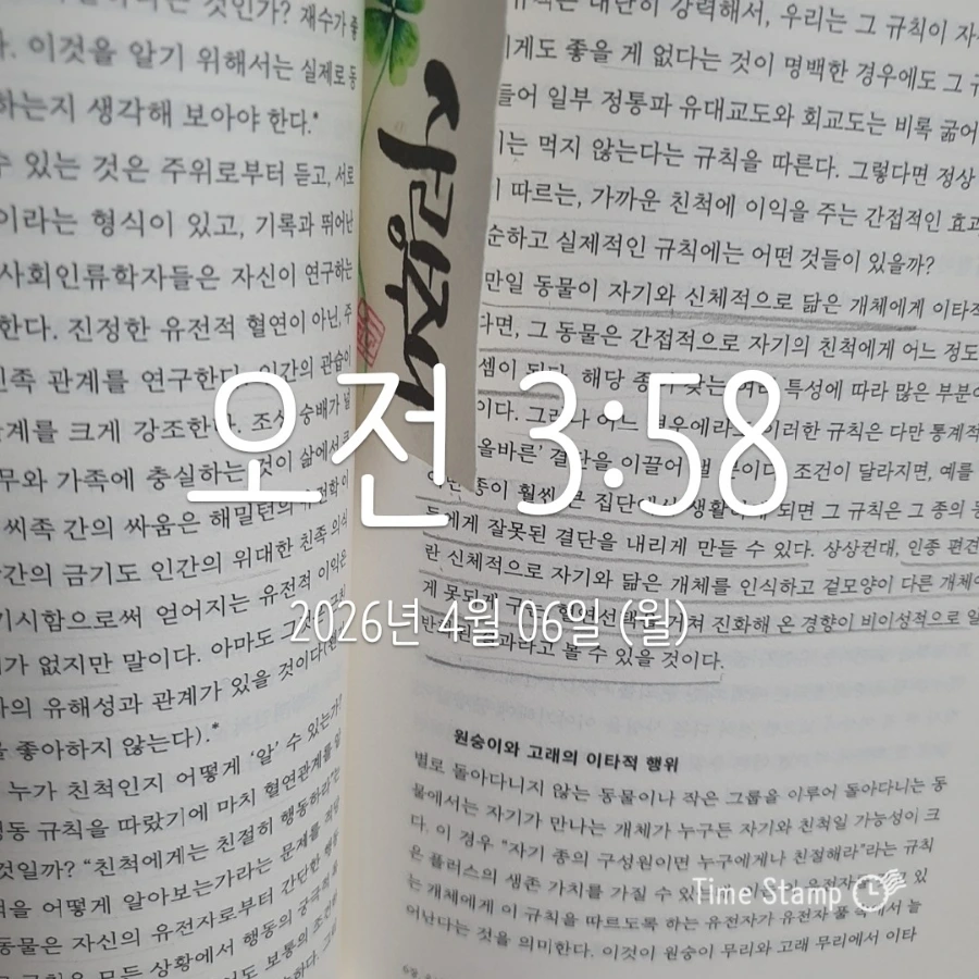 900%EF%BC%BF2026%EF%BC%8D04%EF%BC%8D06T03%EF%BC%BF58%EF%BC%BF35.008.jpg?type=w1