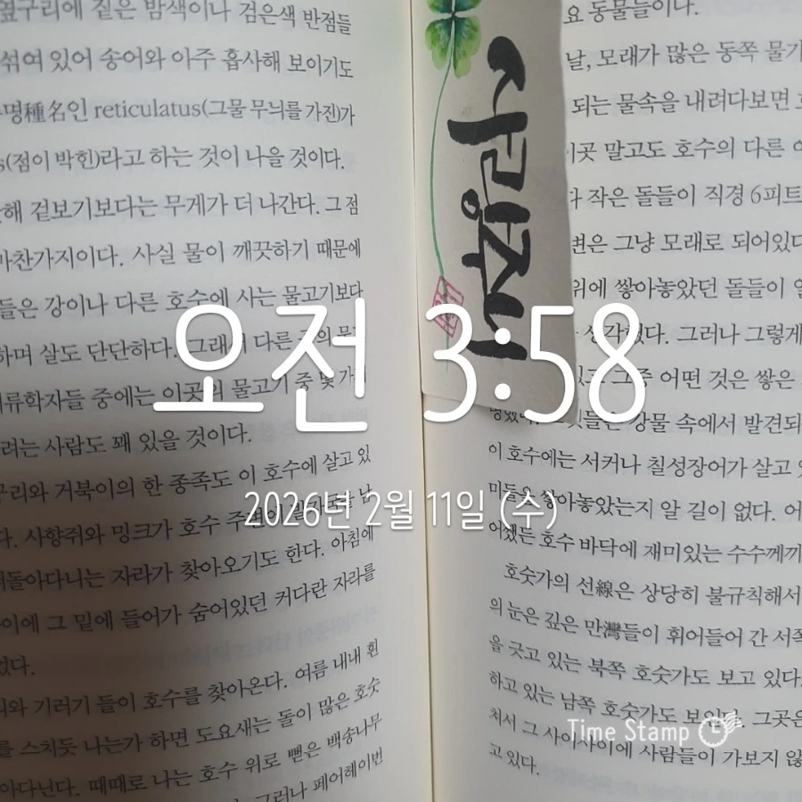 900%EF%BC%BF2026%EF%BC%8D02%EF%BC%8D11T03%EF%BC%BF58%EF%BC%BF35.535.jpg?type=w1