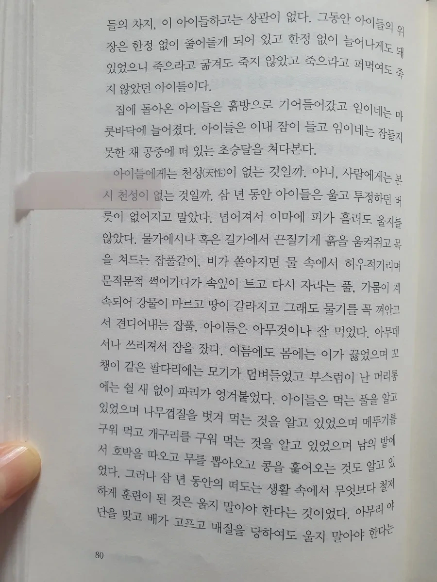 900%EF%BC%BF20260203%EF%BC%BF214632.jpg?type=w1