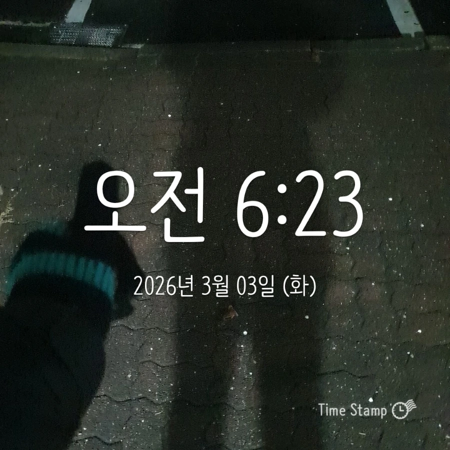 900%EF%BC%BF2026%EF%BC%8D03%EF%BC%8D03T06%EF%BC%BF23%EF%BC%BF24.299.jpg?type=w1