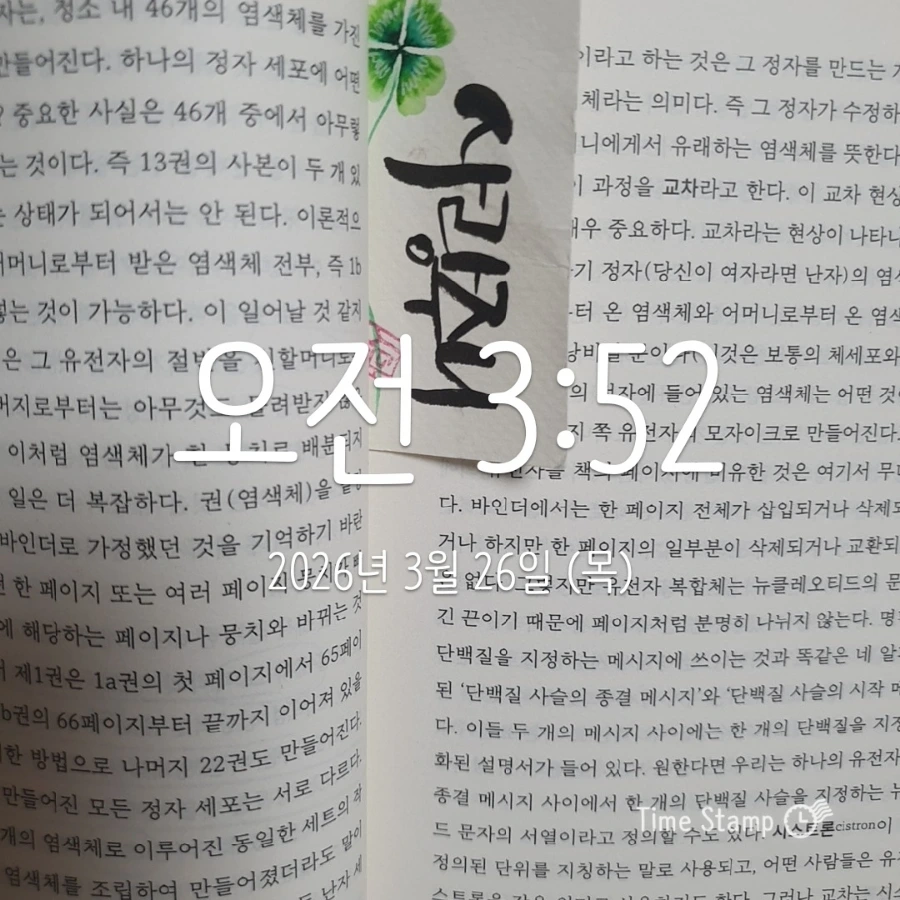 900%EF%BC%BF2026%EF%BC%8D03%EF%BC%8D26T03%EF%BC%BF52%EF%BC%BF17.397.jpg?type=w1