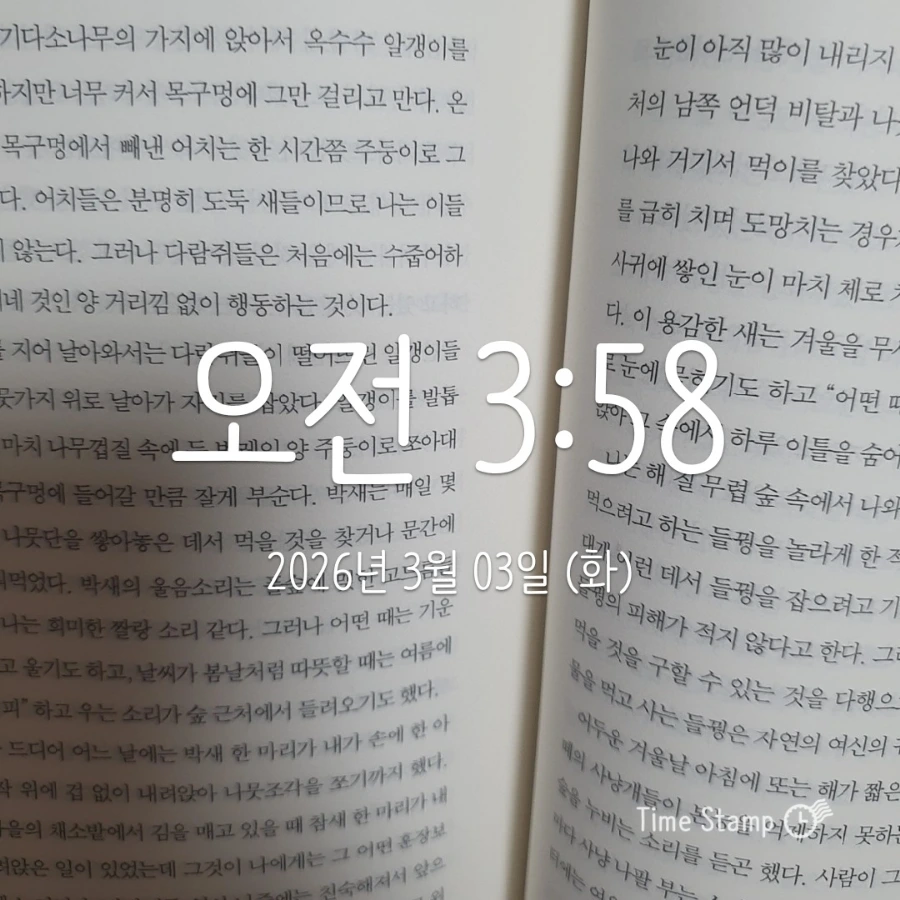 900%EF%BC%BF2026%EF%BC%8D03%EF%BC%8D03T03%EF%BC%BF58%EF%BC%BF30.378.jpg?type=w1