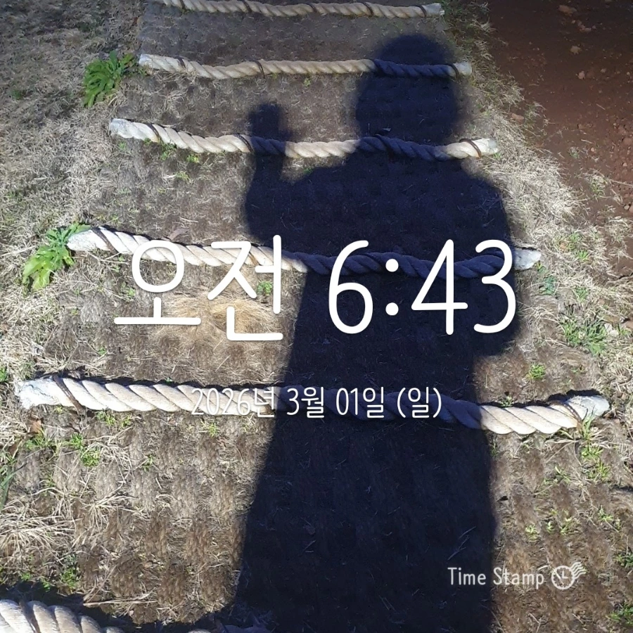 900%EF%BC%BF2026%EF%BC%8D03%EF%BC%8D01T06%EF%BC%BF43%EF%BC%BF56.125.jpg?type=w1