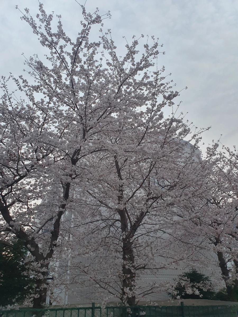 900%EF%BC%BF20260403%EF%BC%BF061745.jpg?type=w1