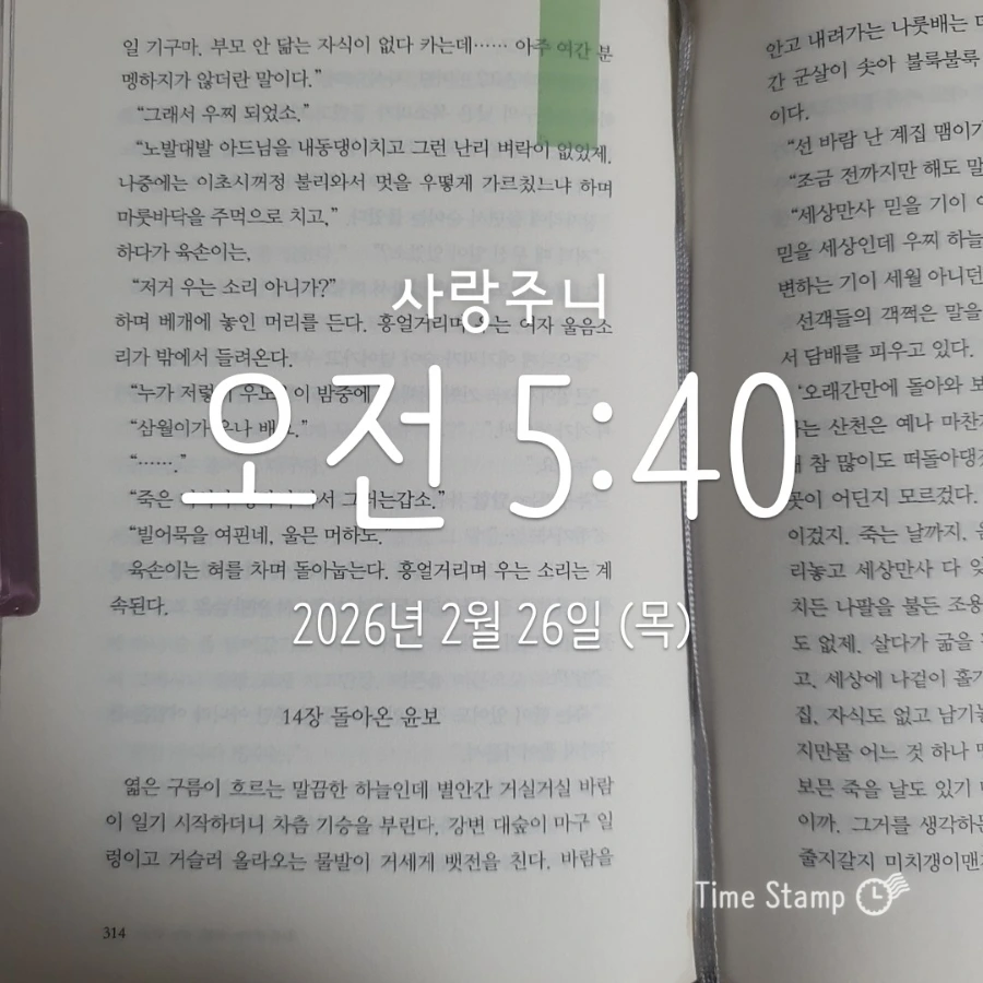 900%EF%BC%BF2026%EF%BC%8D02%EF%BC%8D26T05%EF%BC%BF40%EF%BC%BF18.264.jpg?type=w1