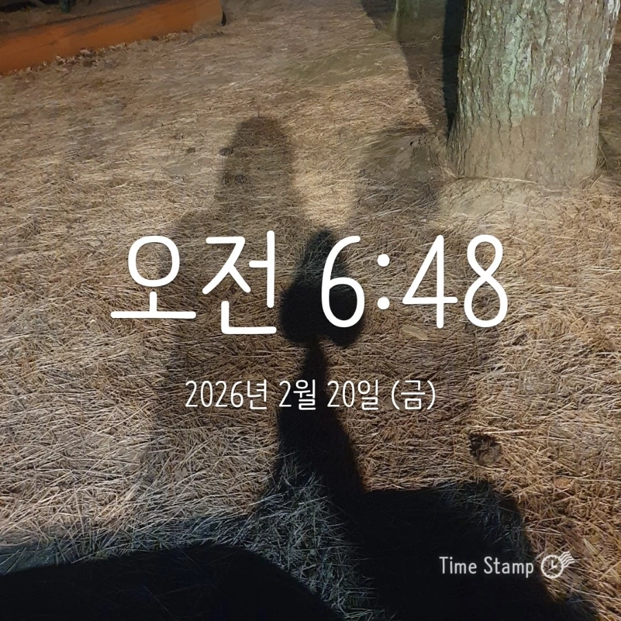 900%EF%BC%BF2026%EF%BC%8D02%EF%BC%8D20T06%EF%BC%BF48%EF%BC%BF41.126.jpg?type=w1