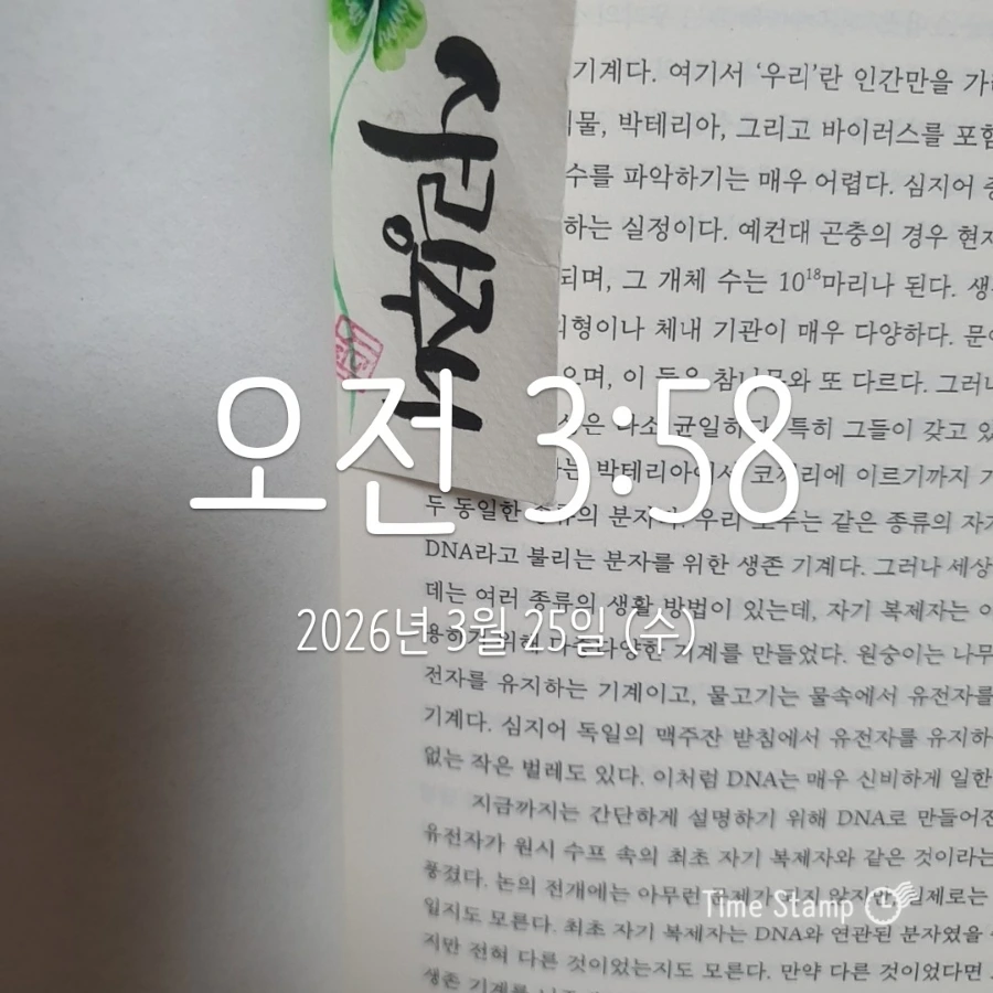 900%EF%BC%BF2026%EF%BC%8D03%EF%BC%8D25T03%EF%BC%BF58%EF%BC%BF42.539.jpg?type=w1