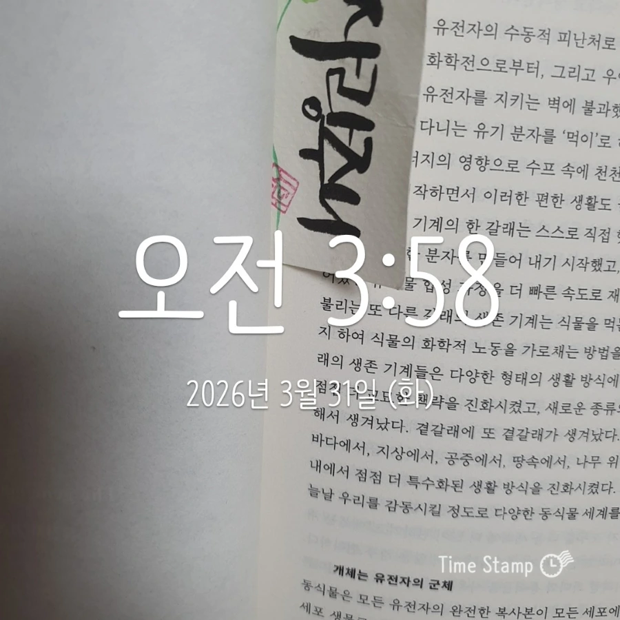 900%EF%BC%BF2026%EF%BC%8D03%EF%BC%8D31T03%EF%BC%BF58%EF%BC%BF31.355.jpg?type=w1