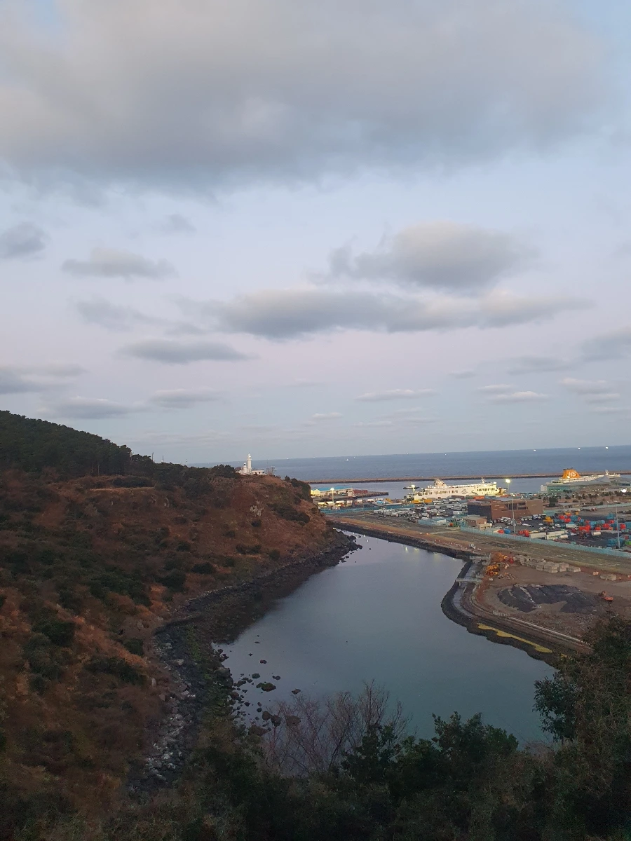 900%EF%BC%BF20260219%EF%BC%BF070353.jpg?type=w1