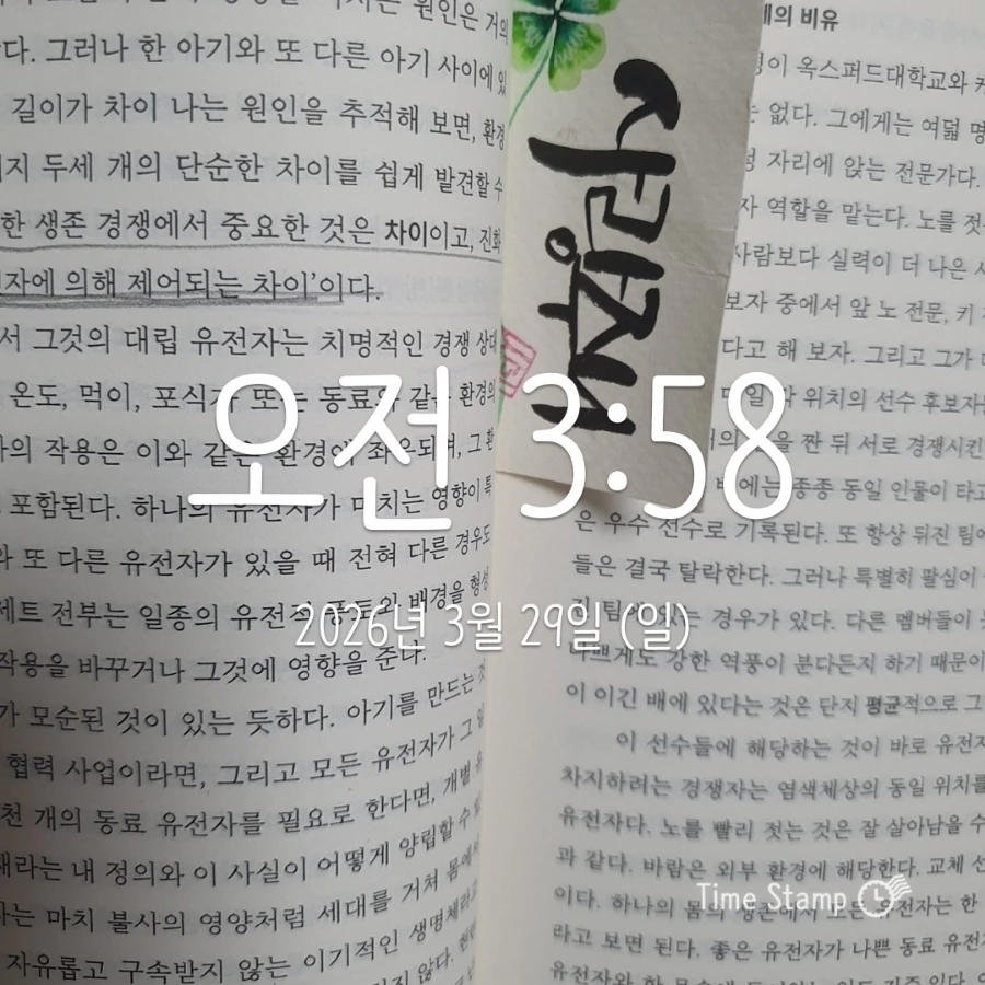 900%EF%BC%BF2026%EF%BC%8D03%EF%BC%8D29T03%EF%BC%BF58%EF%BC%BF40.737.jpg?type=w1