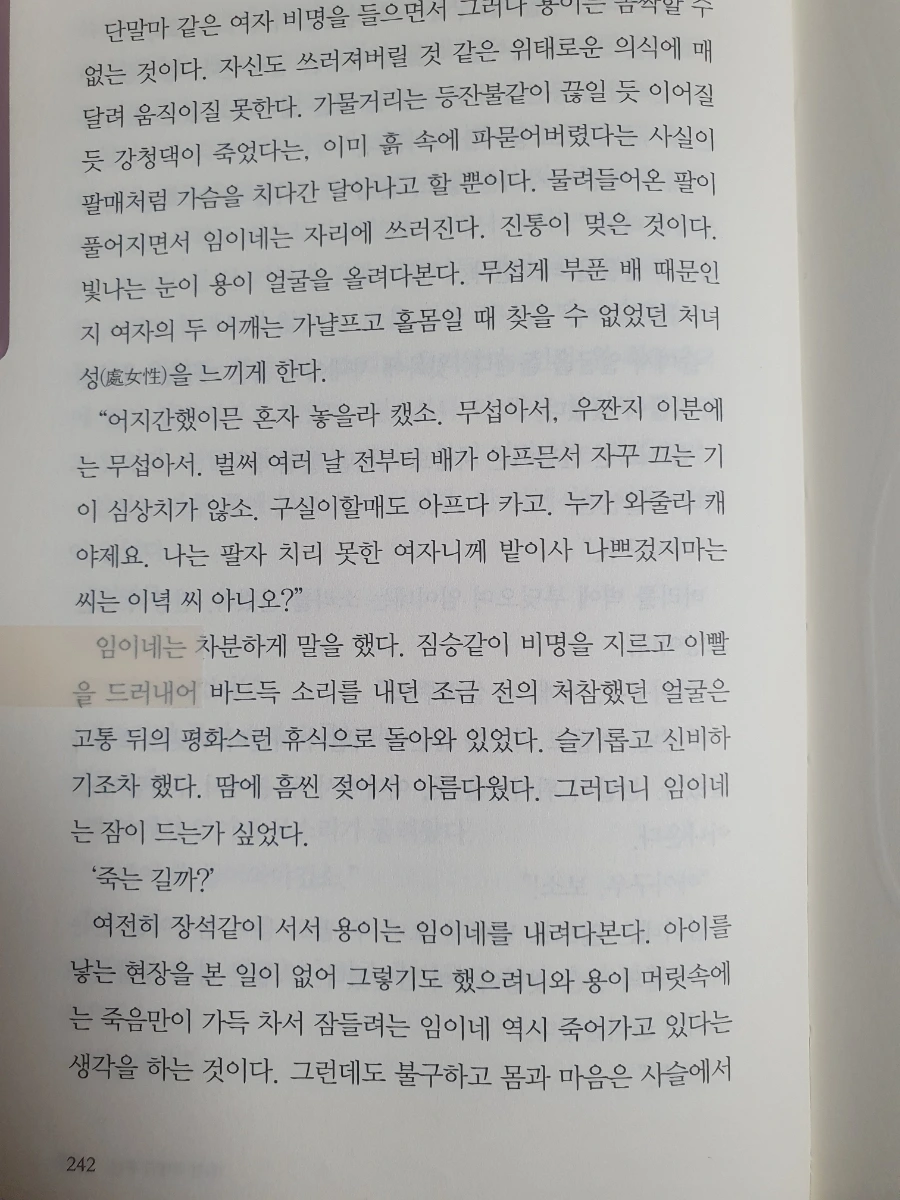 900%EF%BC%BF20260209%EF%BC%BF053452.jpg?type=w1