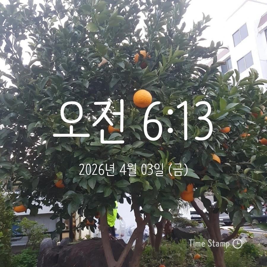 900%EF%BC%BF2026%EF%BC%8D04%EF%BC%8D03T06%EF%BC%BF13%EF%BC%BF57.230.jpg?type=w1