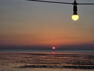 Resized_20260227_182308.jpg?type=w386